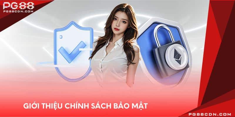 Giới thiệu chính sách bảo mật