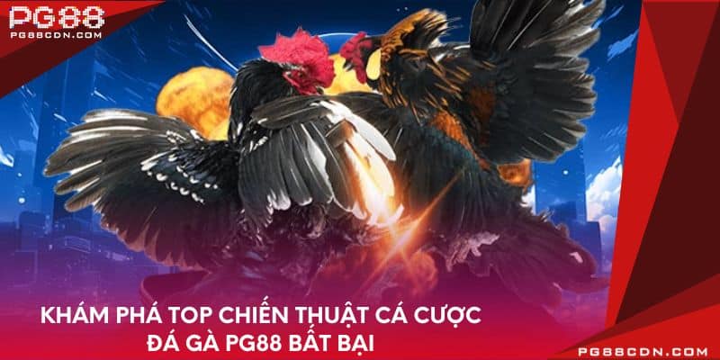 Khám phá top chiến thuật cá cược đá gà PG88 bất bại