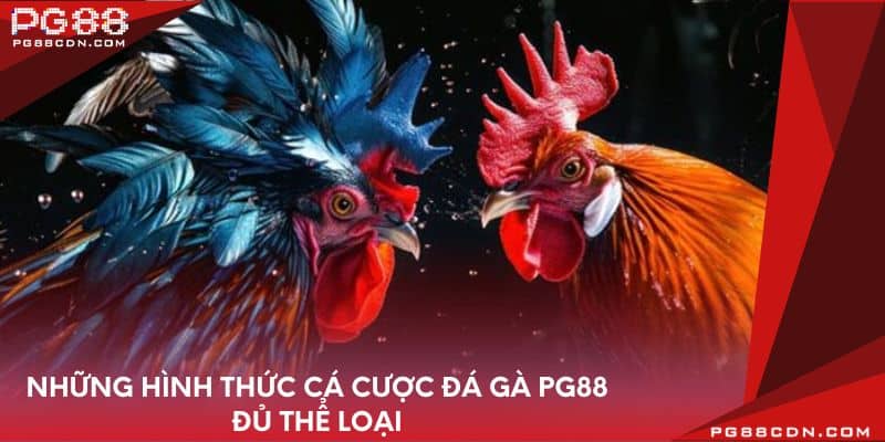 Những hình thức cá cược đá gà PG88 đủ thể loại
