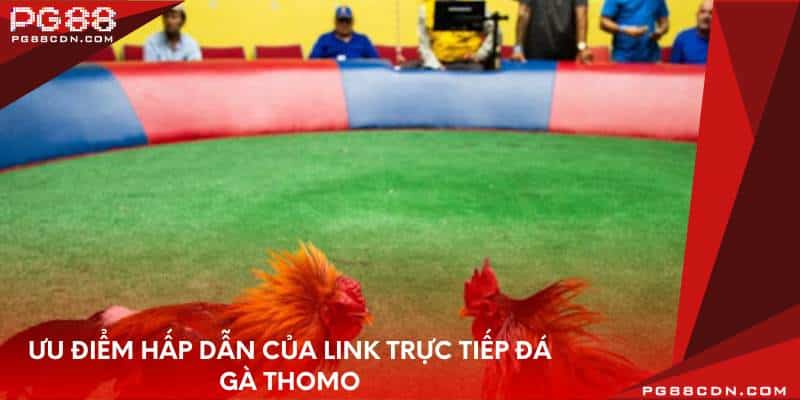Ưu điểm hấp dẫn của link trực tiếp đá gà thomo